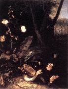 SCHRIECK, Otto Marseus van Still-life with Plants and Reptiles ery oil on canvas